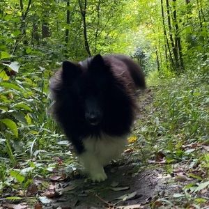 Meet your Posher, Justine